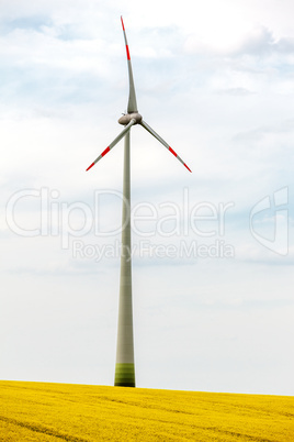 Windmill in blooming canola field