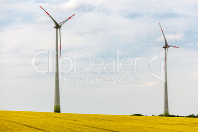 Windmill in blooming canola field