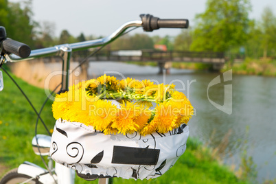 bikes and lei flower wreath