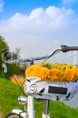 bikes and lei flower wreath