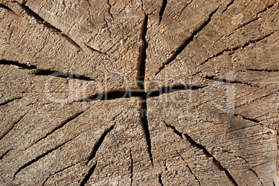 wooden dark background