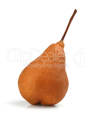 Brown Pear