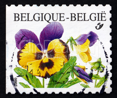 postage stamp belgium 2000 violets, pansy, flowering plant