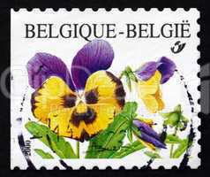 postage stamp belgium 2000 violets, pansy, flowering plant