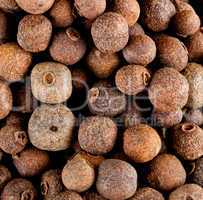 Allspice