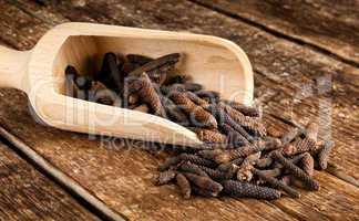 Long pepper or Piper longum