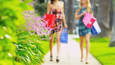 Beautiful Girls on a Shopping Day