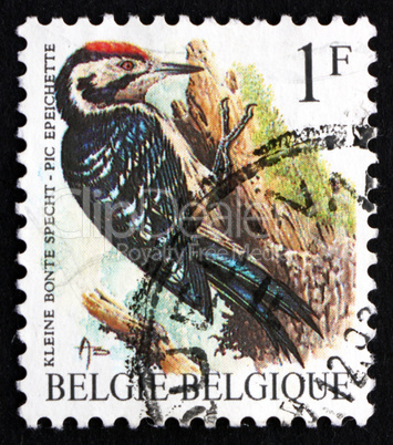 postage stamp belgium 1990 lesser spotted woodpecker, bird