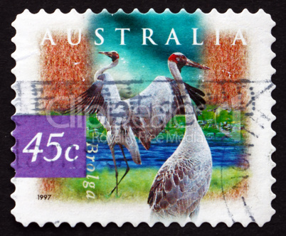 postage stamp australia 1997 brolga, wetland bird