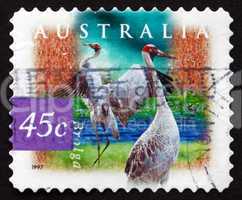 postage stamp australia 1997 brolga, wetland bird