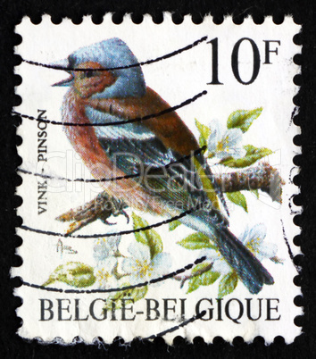 postage stamp belgium 1990 pinson, common chaffinch