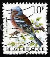postage stamp belgium 1990 pinson, common chaffinch