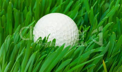 White golf ball in the long grass