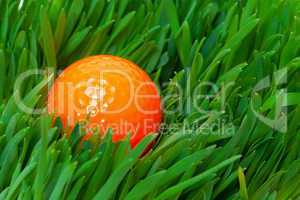Orange golf ball in the long grass