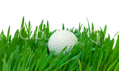 White golf ball in the long grass