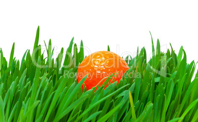 Orange golf ball in the long grass