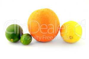 Group Organic Citrus Fruits - Lemon, Orange, Lime and Key Lime,
