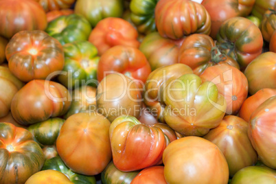Frische Tomaten - Fresh Tomatoes