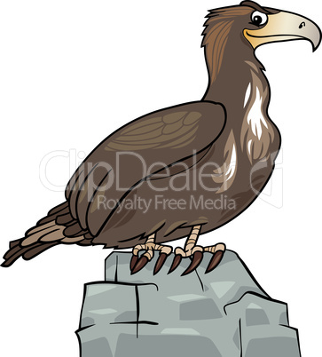 cartoon eagle wild bird