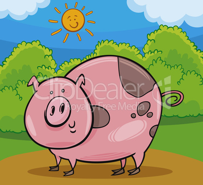 pig livestock animal cartoon illustration