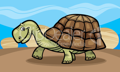 funny turtle cartoon illustration