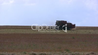 Harvester in the field pea