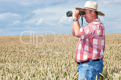 Man with binoculars in cornfield