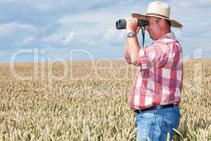 Man with binoculars in cornfield