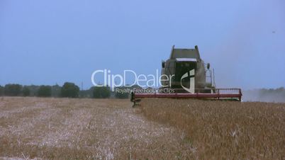 Harvester gathers the wheat