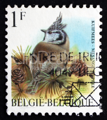 postage stamp belgium 1998 european crested tit, passerine bird