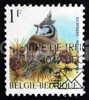 postage stamp belgium 1998 european crested tit, passerine bird