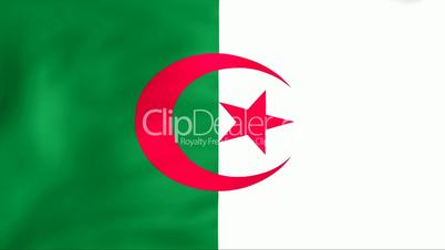 Flag Of Algeria