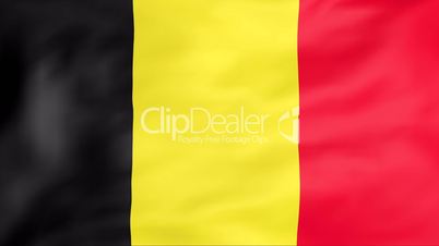 Flag Of Belgium