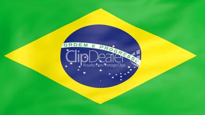 Flag Of Brazil