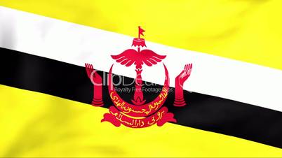 Flag Of Brunei
