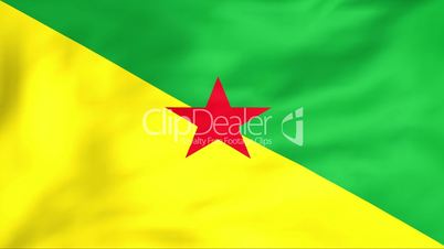 Flag Of Guyane