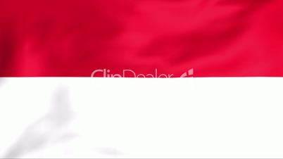 Flag Of Indonesia