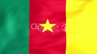 Flag Of Cameroon