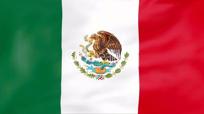 Flag Of Mexico