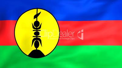 Flag Of New Caledonia