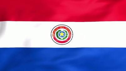 Flag Of Paraguay