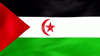 Flag Of Sahara Arab Democratic Republic