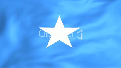 Flag Of Somalia