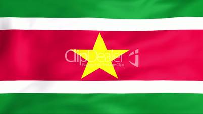 Flag Of Suriname