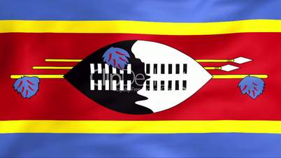 Flag Of Swaziland