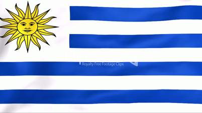 Flag Of Uruguay