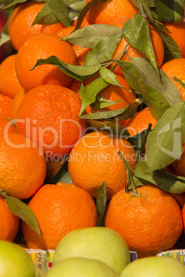 Tangerines and apples