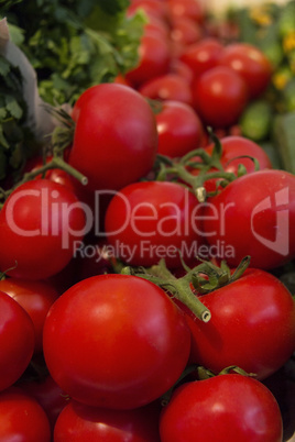 Frest tomatoes and other vegetables