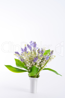 lily of the valley and scilla