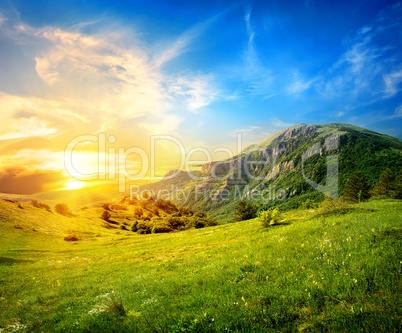Meadow in mountains